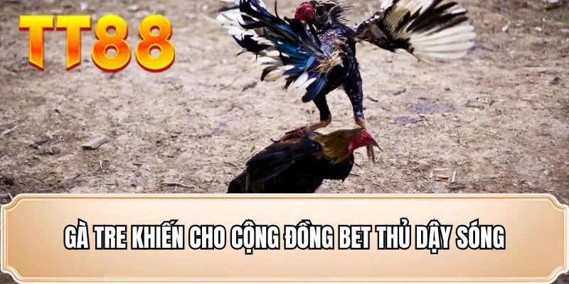 Gà tre khiến cho cộng đồng bet thủ dậy sóng